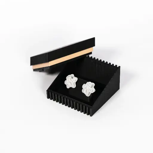 Ohrstecker Reef